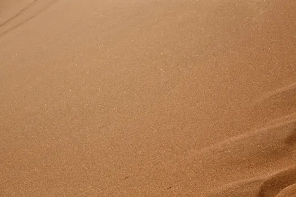 Casino Bingo Millionaire Ënnerstëtzung